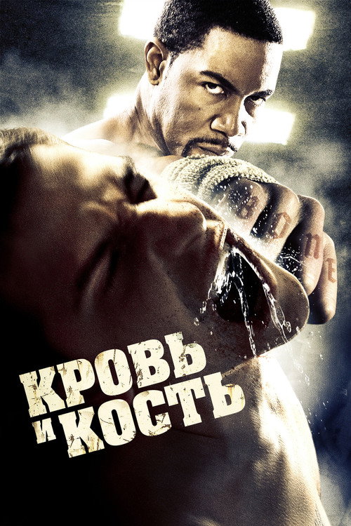 Постер: Кровь и кость