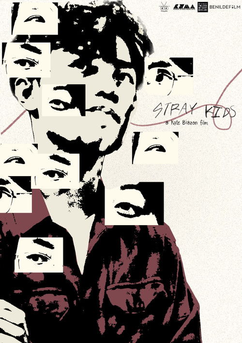 Постер: Stray Kids