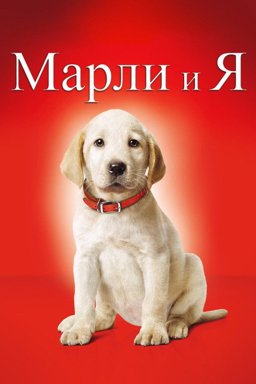 Постер: Марли и я